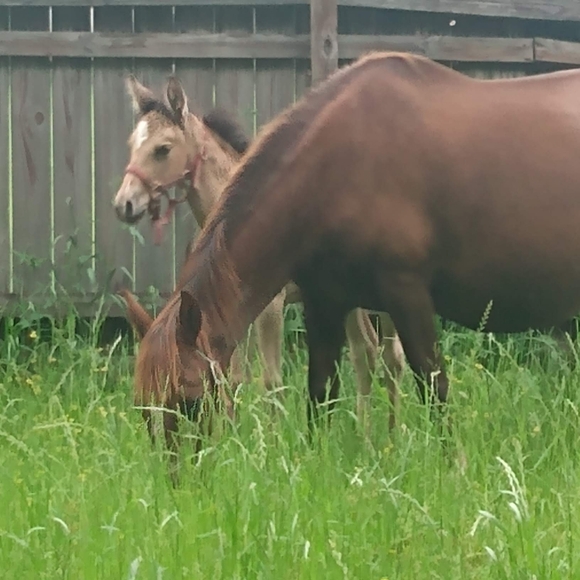 "MendyLew'sMadness" - Picture 9 of 10